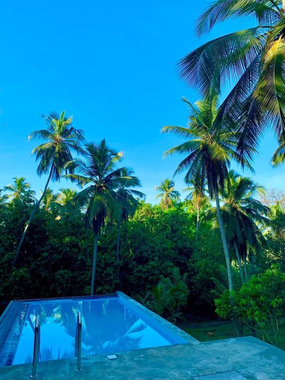a swimming pool with palm trees in the background at Thehideout kurunegala in Kurunegala