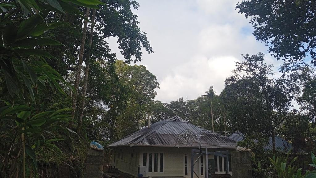 a small house in the middle of a forest at Winchester House in Anachal