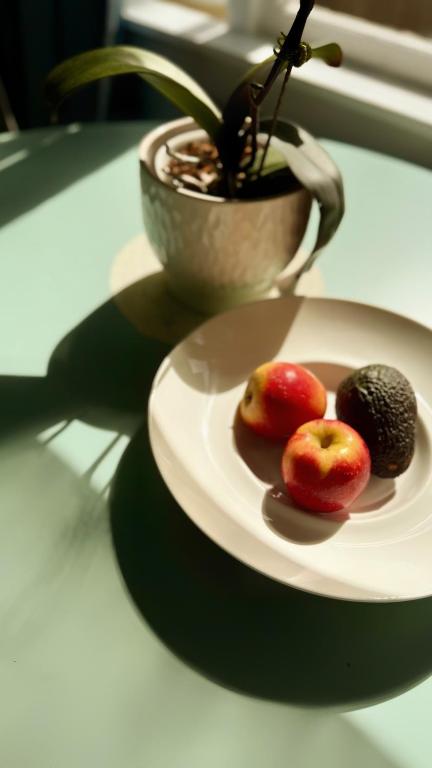 Central Spot Elegant Home Fresh Features - Resim 22