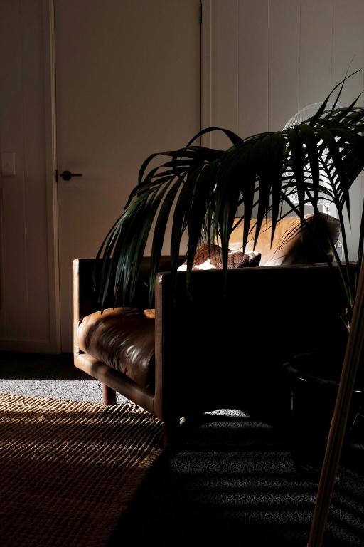 Architectural guest house in St Clair - Resim 22