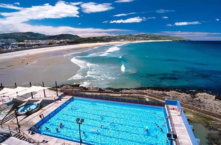 Architectural guest house in St Clair - Resim 26