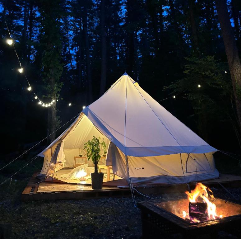 a white tent with a potted plant next to a fire at FujiSaunaVillage グランピングテント in Fujikawaguchiko