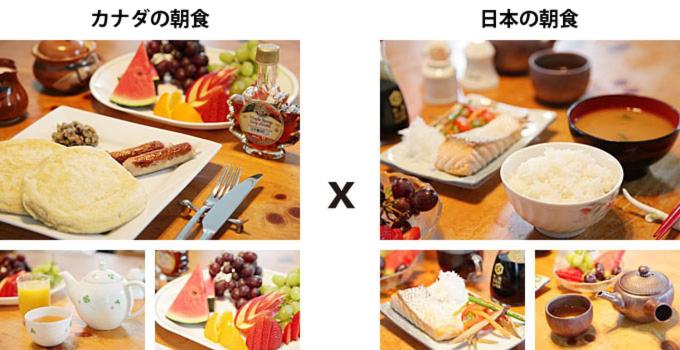 Bed Breakfast Monarch カナダ キャンモア Booking Com Bed Breakfast Monarch カナダ キャンモア Booking Com