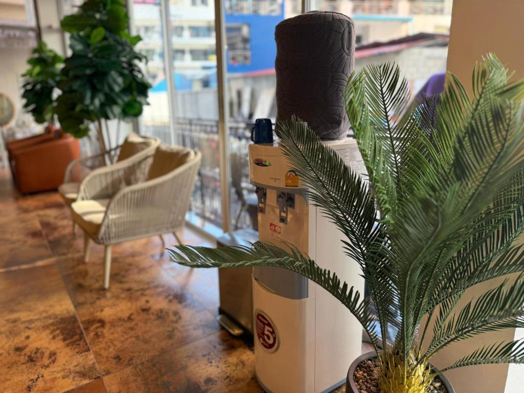 Diva Boutique Hotel - Resim 24