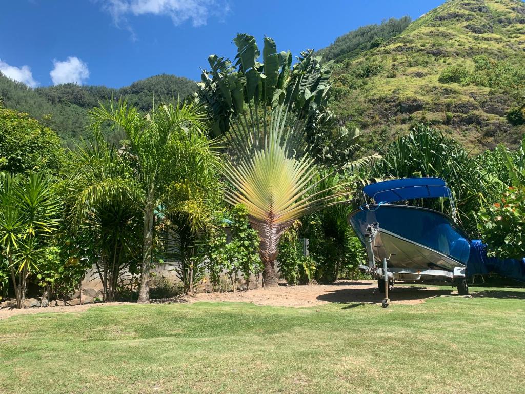 FARE TITAINA, Hauru - photo 11 - Moorea, Polynésie