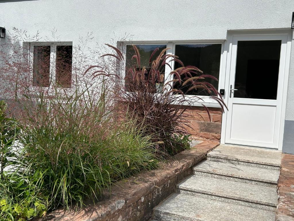 a house with a white door and some plants at FeWo zum Büttelfels in Dahn