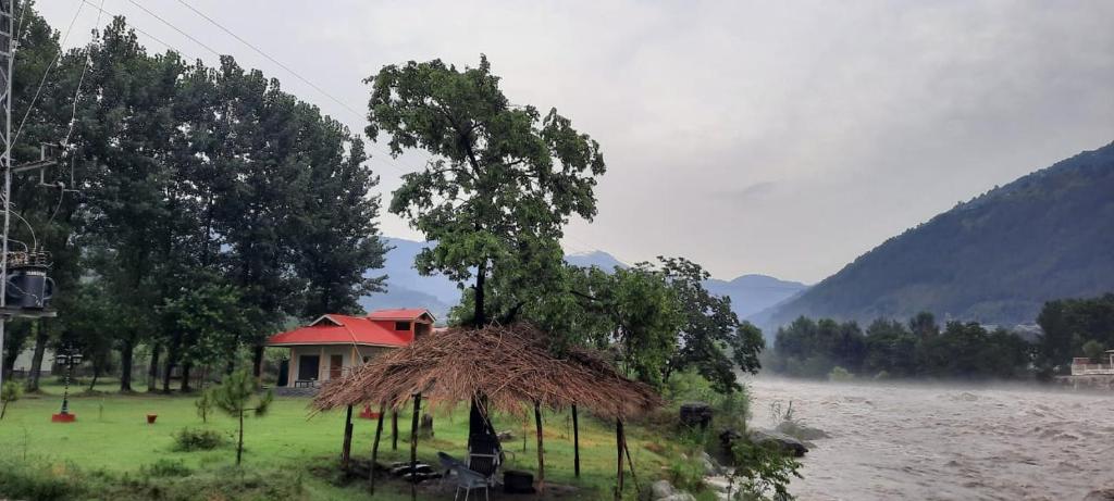 a house with a tree in front of a river at StoneWood Cottage At Country Club Resorts Balakot in Bālākot