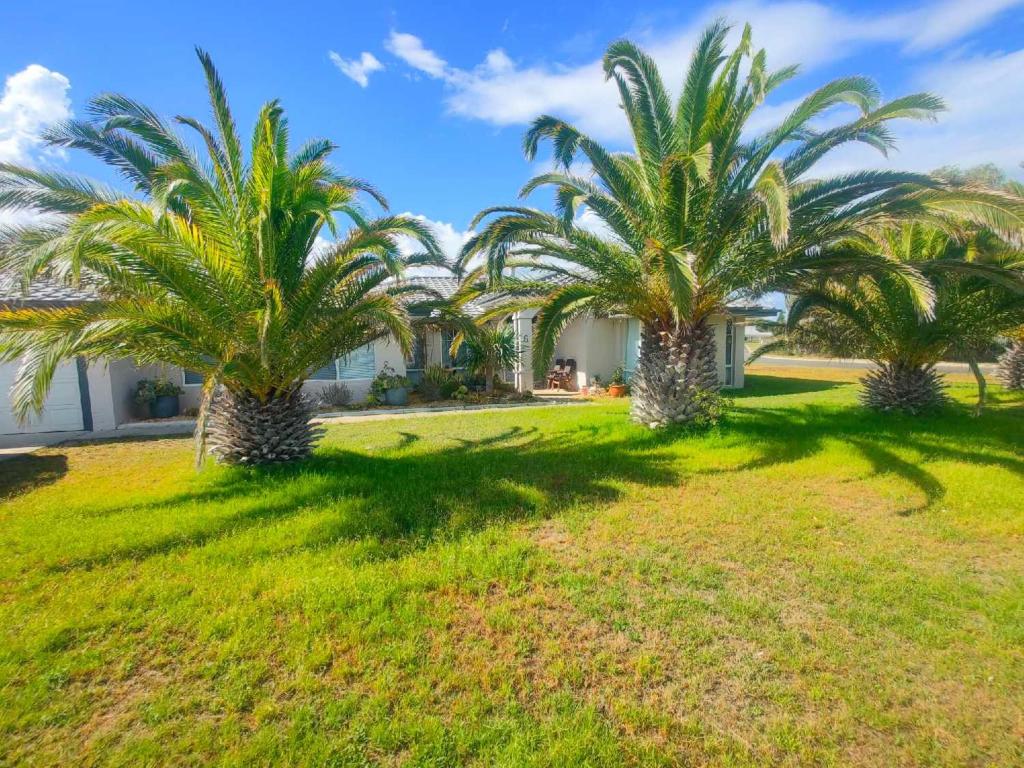 a group of palm trees in a yard at Sea-renity Now in Lancelin
