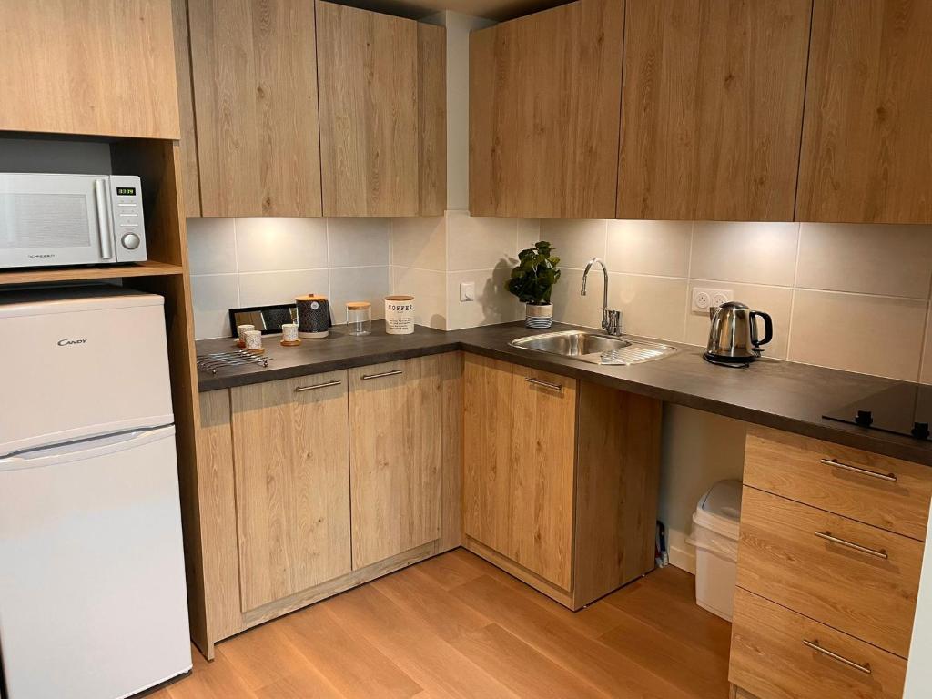 Zenao Appart'hôtels Dijon - Resim 4