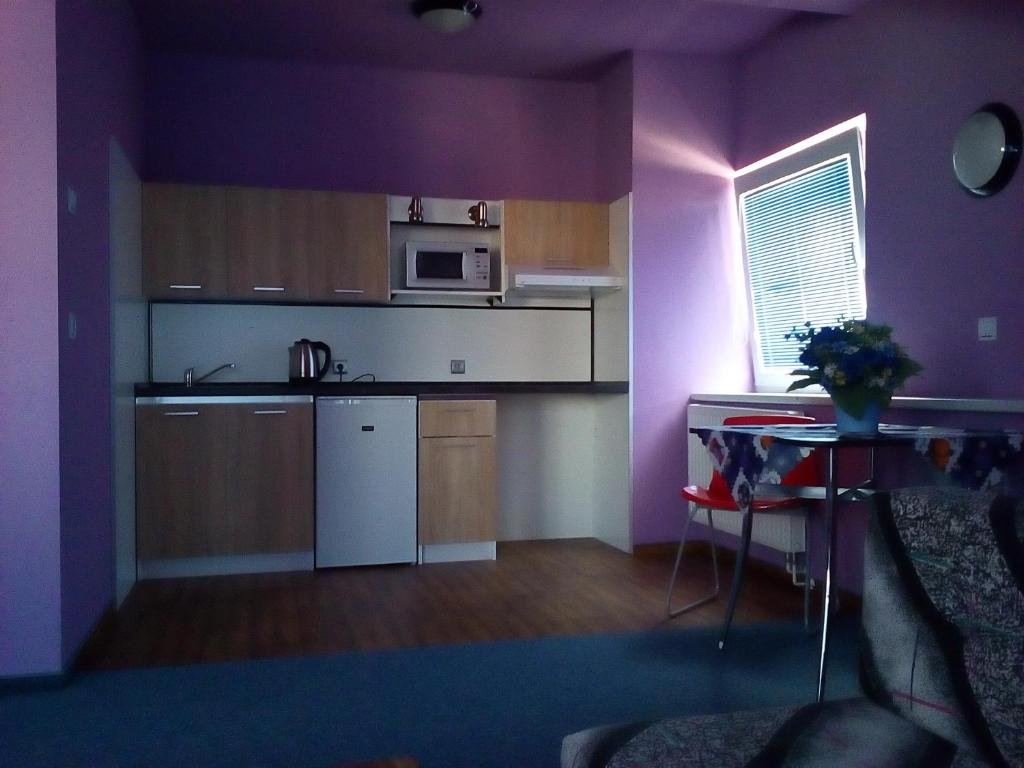 Kuchyň nebo kuchyňský kout v ubytování Manhattan Penzion