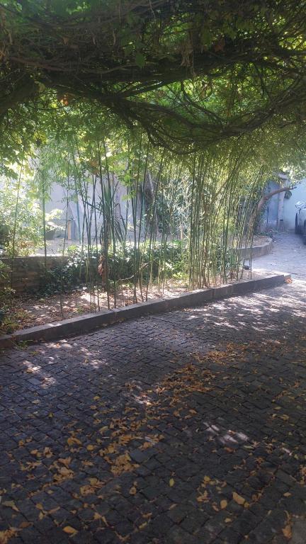 Afbeelding uit fotogalerij van two story house in center of the tbilisi in Tbilisi City