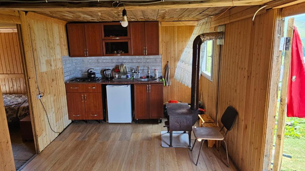 O bucătărie sau chicinetă la Giglas cottage on Gomismta