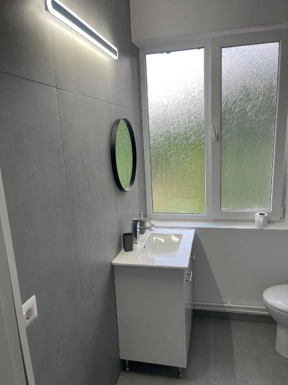 un bagno con lavandino, WC e finestra di Vanex a Petricani