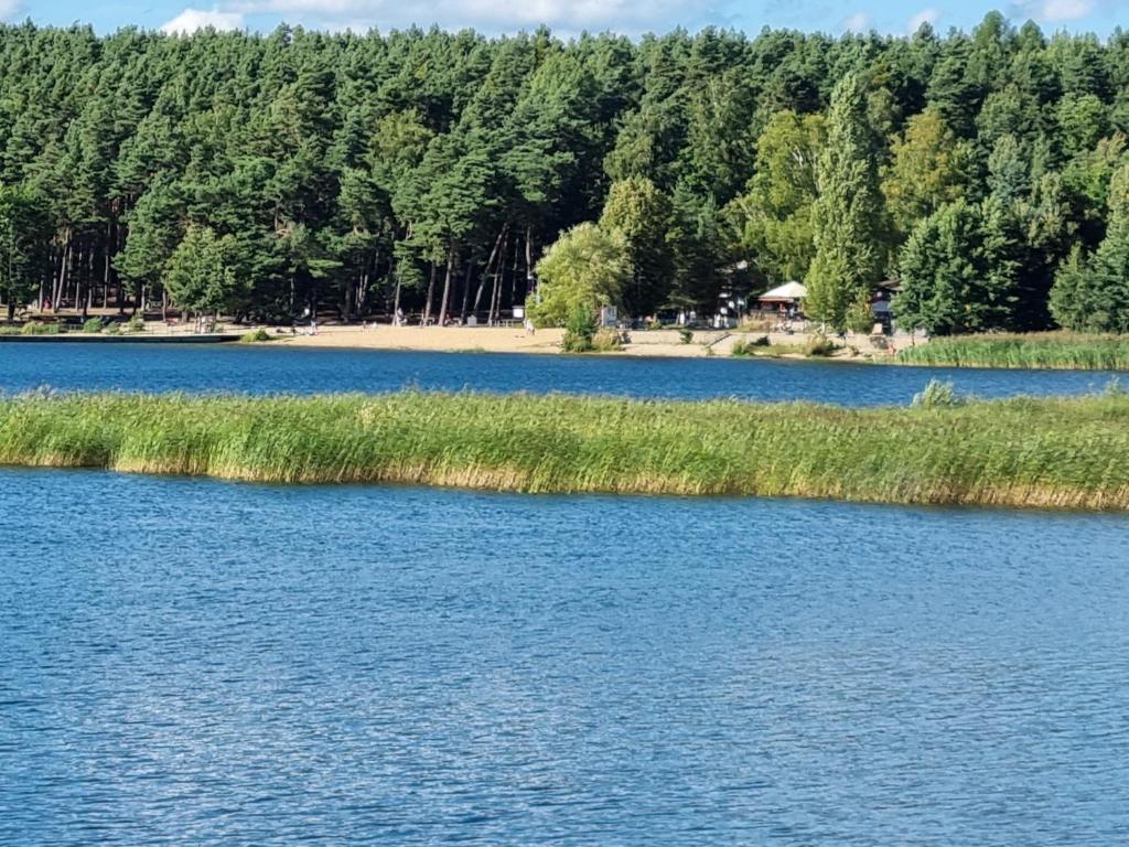 APARTMÁNY I&V - Adults only - Resim 41