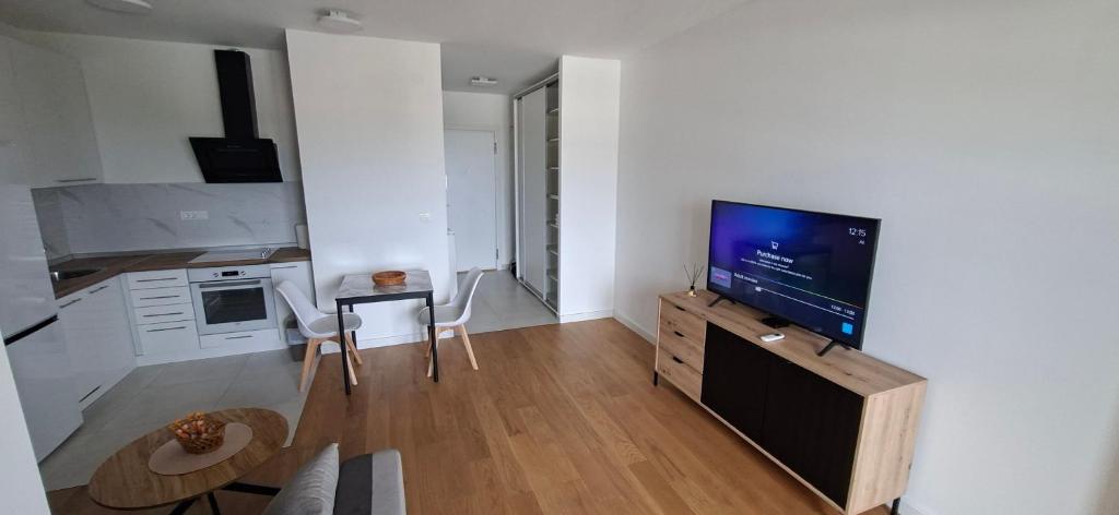 a living room with a flat screen tv and a kitchen at Park Vila apartment in Belgrade
