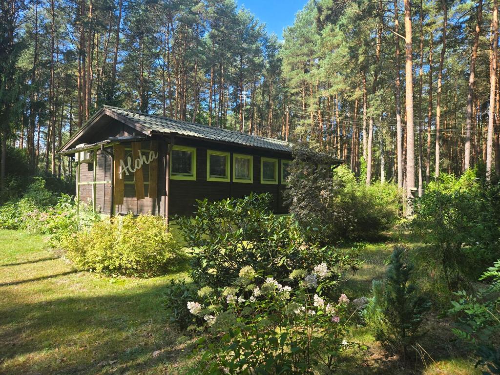 a small house in the middle of a forest at Aloha Summer Cottage in Łaziska