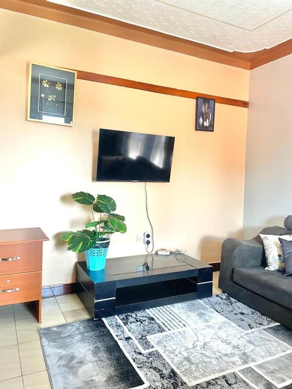 un salon avec un canapé et une télévision dans l'établissement The Peace Haven, à Kampala