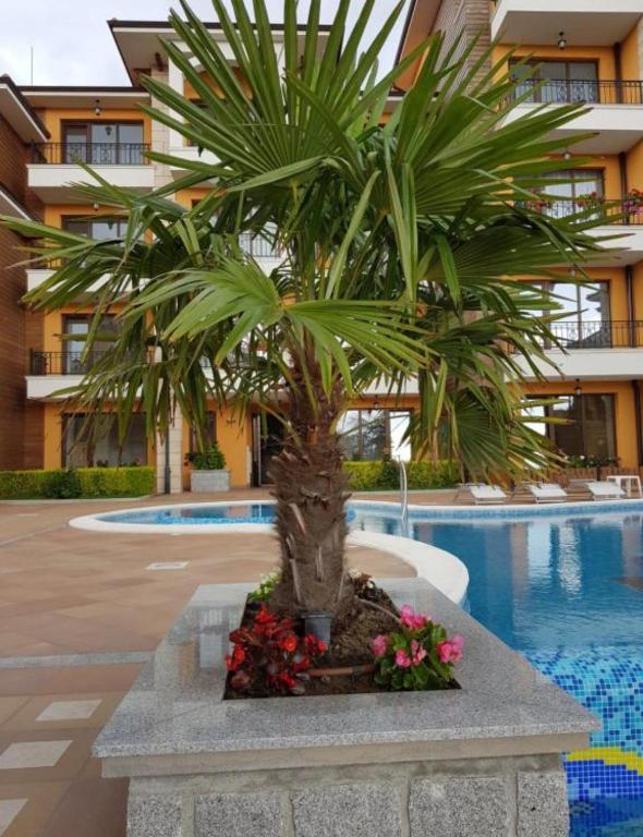 a palm tree sitting in front of a building at Boulevard Sea Residenz 250 meter zum Sandstrand in Sunny Beach