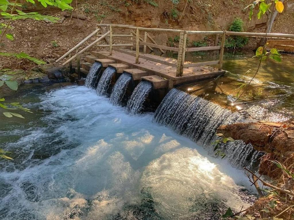Naturlandskabet i nærheden af lejligheden
