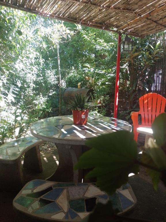 einen Glastisch mit einer Topfpflanze auf einer Terrasse in der Unterkunft Alojamiento por día Merlo San Luis in Merlo