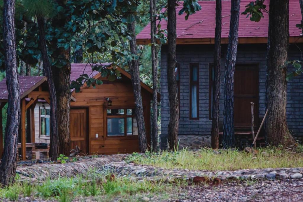 eine Blockhütte im Wald mit Bäumen in der Unterkunft Cabaña Libélula para parejas in Mascota