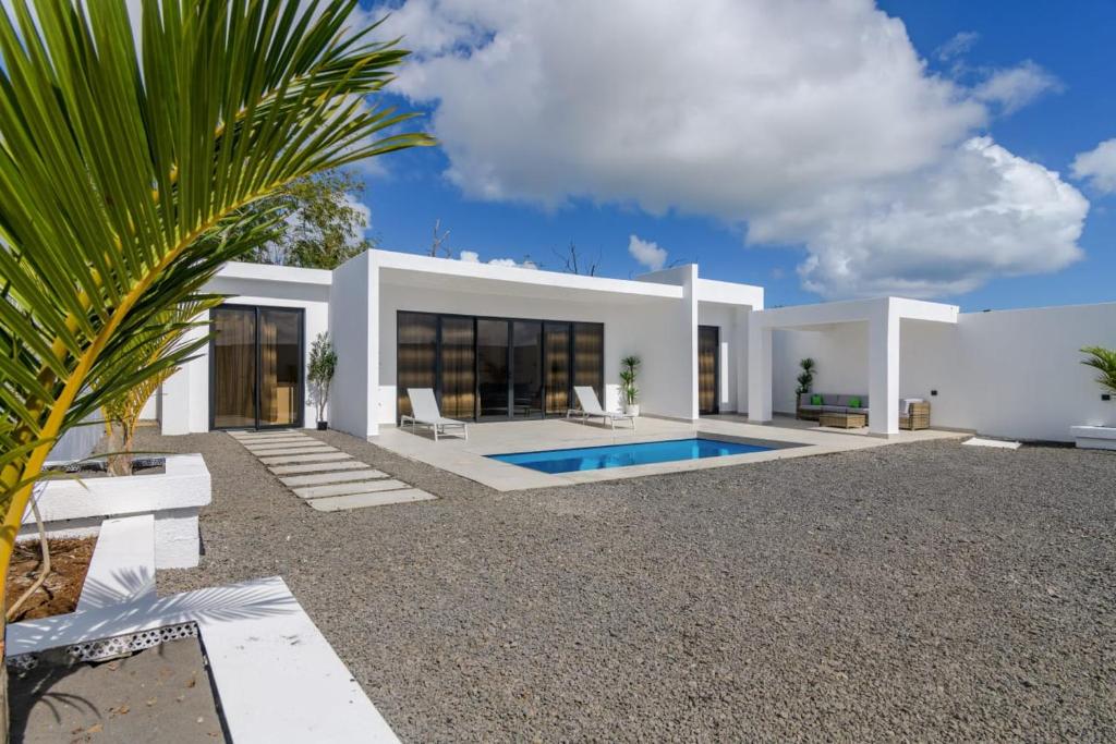 a white house with a pool and a palm tree at Rocky 35 in Grand-Baie