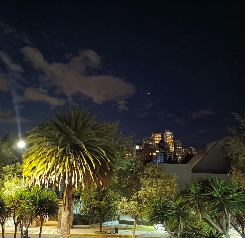 a palm tree in a park at night at Suite Doral Almagro in Quito