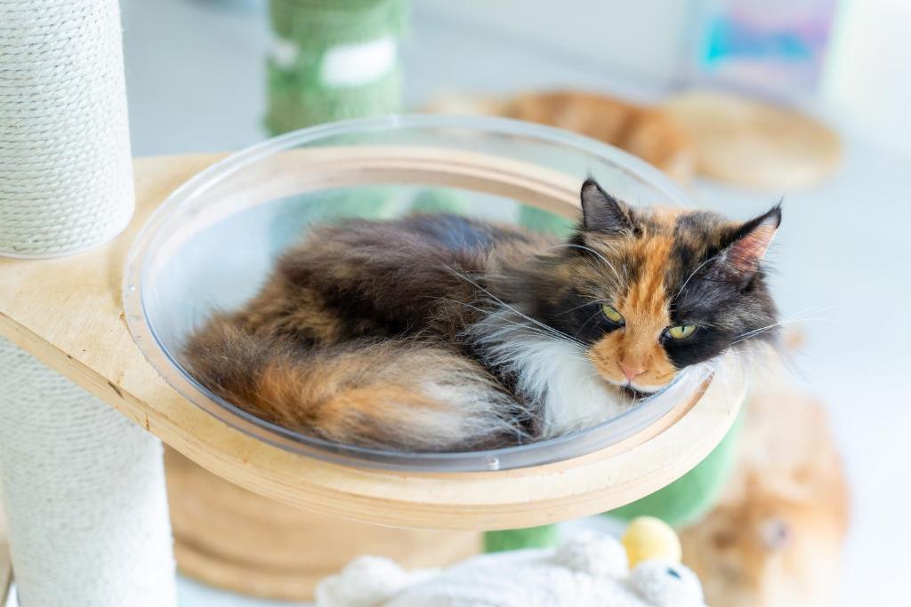 Patong Beach Side Hotel - Resim 6