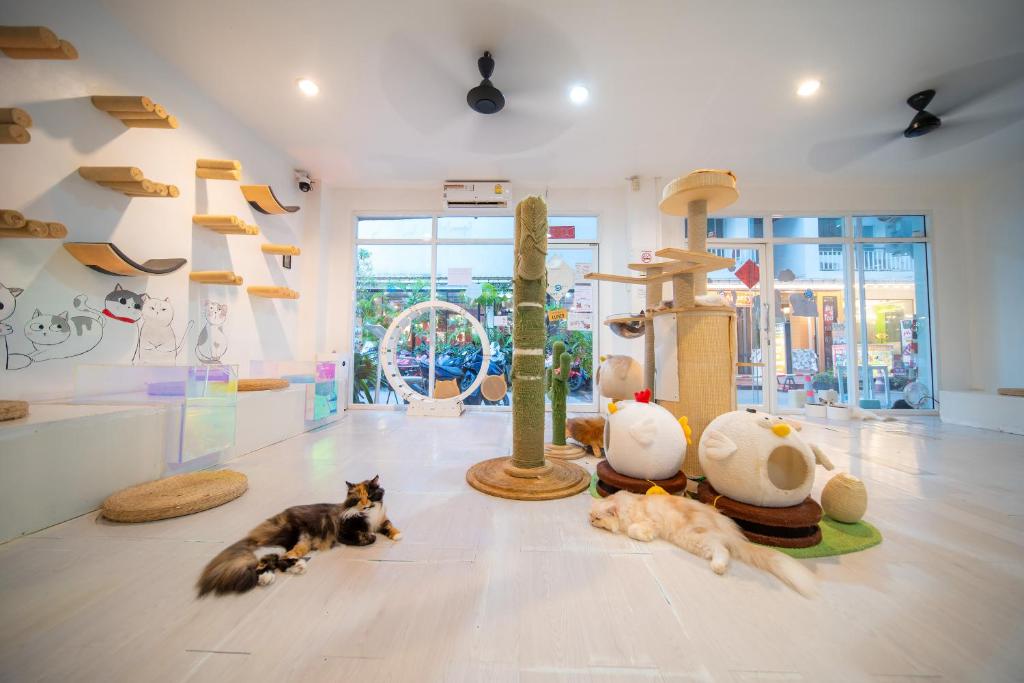 Patong Beach Side Hotel - Resim 42