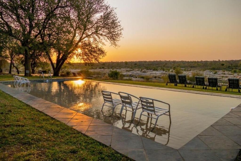 a group of chairs sitting next to a swimming pool at Mjejane River Lodge in Hectorspruit