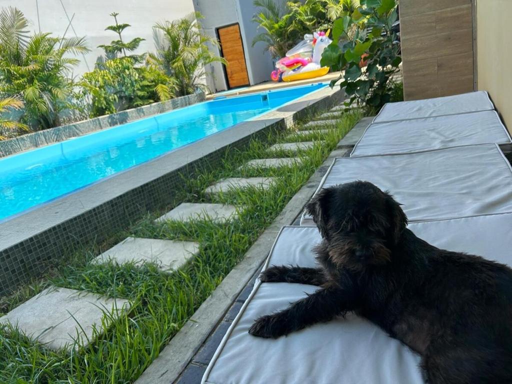 Ein schwarzer Hund liegt auf einer Decke neben einem Swimmingpool. in der Unterkunft Casa Greemat 3Habs con AC, piscina y a pasos del mar in Zorritos