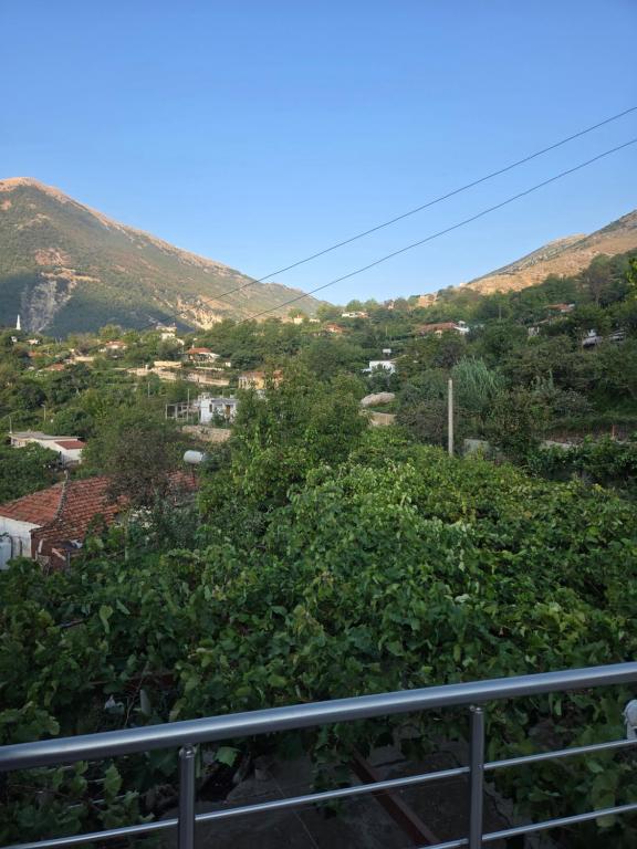 Naturlandskabet i nærheden af lejligheden