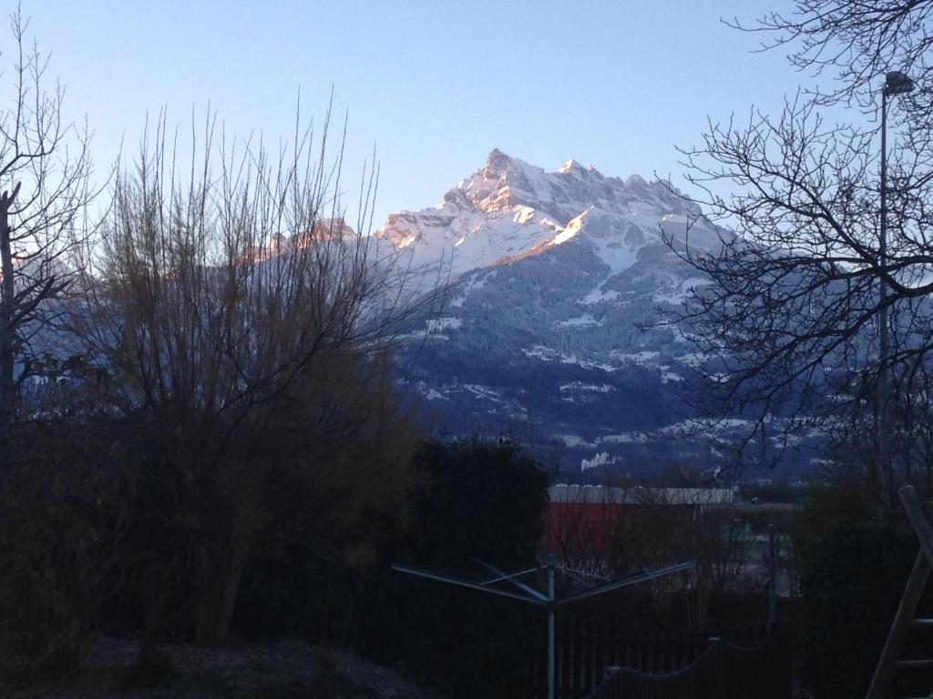 a view of a snow covered mountain in the distance at The Traditional in Ollon