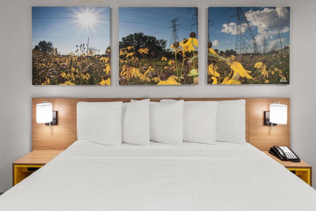 Days Inn & Suites by Wyndham Kaukauna WI - Kamer Met Kingsize Bed - Niet-Rokers