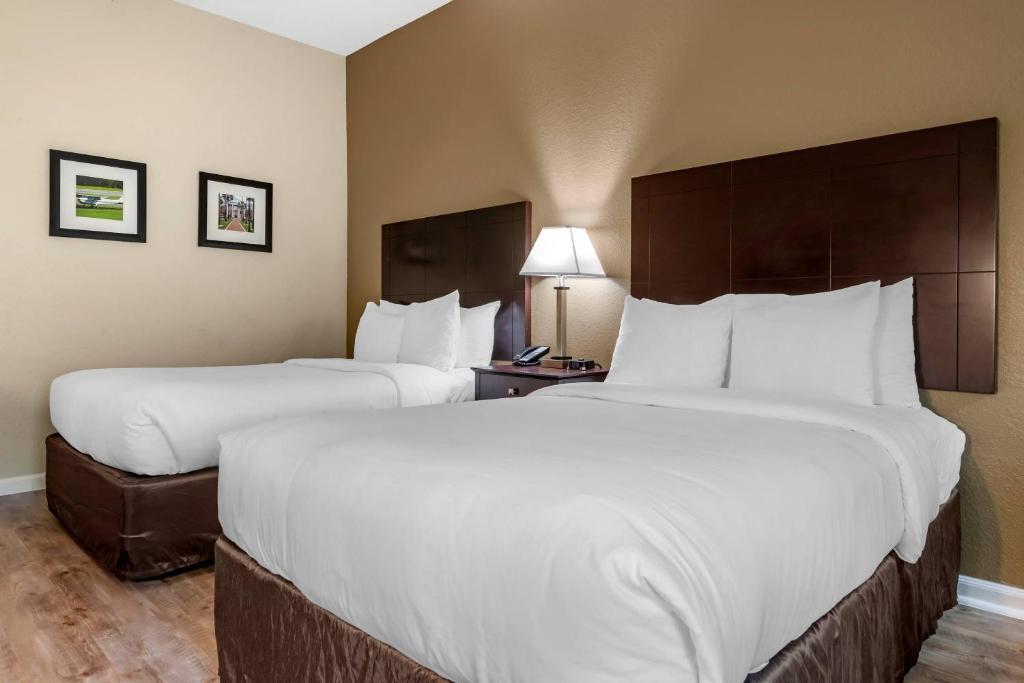 Comfort Inn & Suites DeLand - near University photo