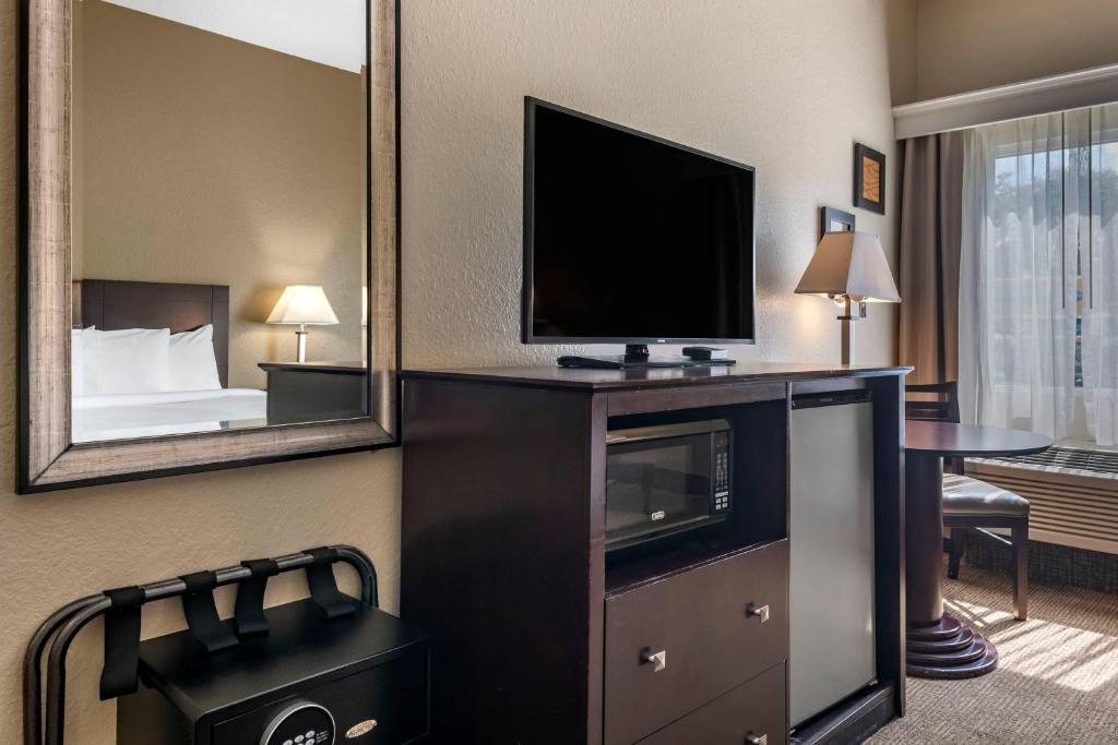 Comfort Inn & Suites DeLand - near University photo