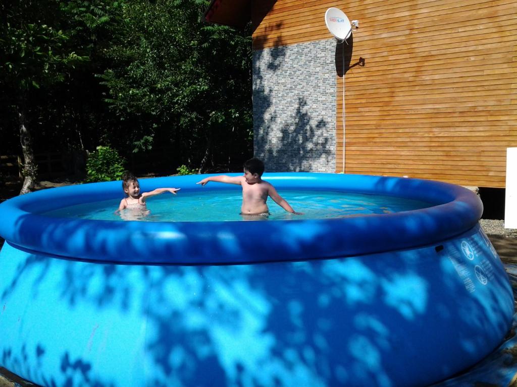 Bazén v ubytování Shekhvetili Cottages 2N nebo v jeho okolí