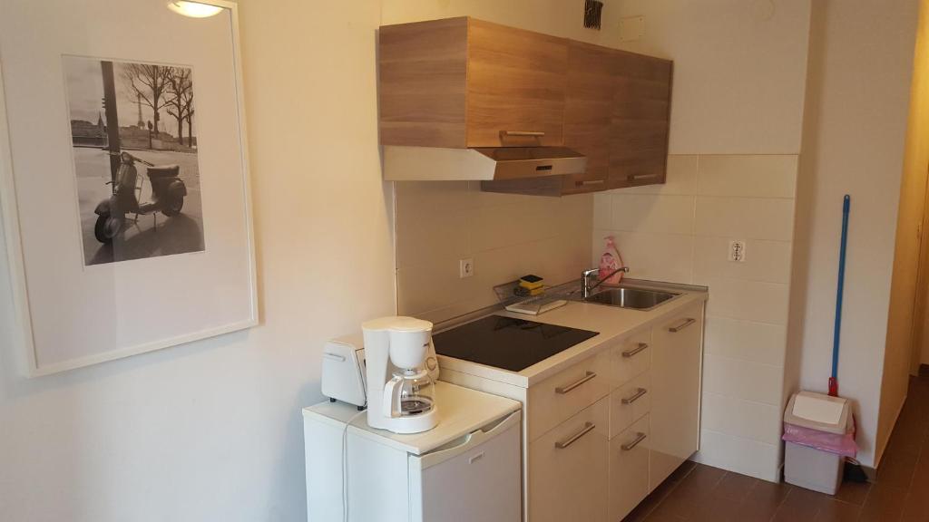 Apartment Sinčić - 1