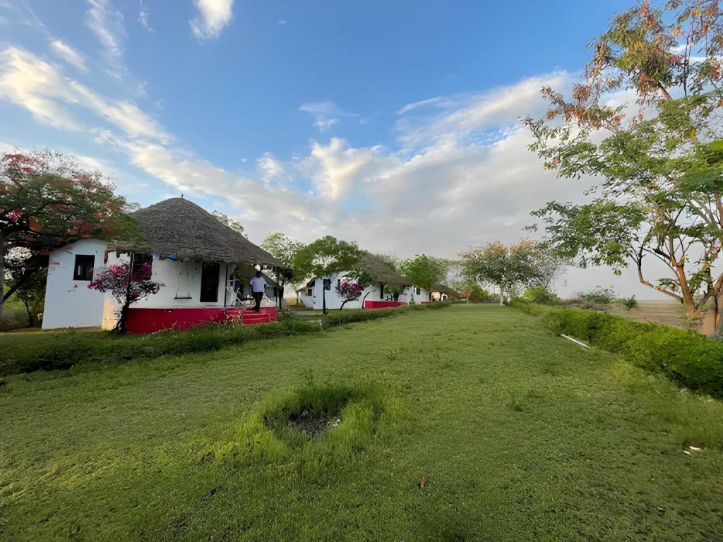 a house with a thatched roof and a grass field at Kutch Safari Resort in Kunria