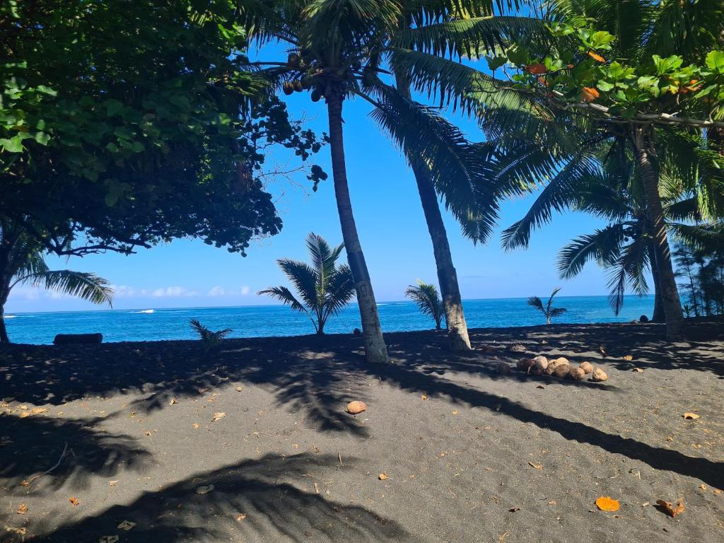 Taharu'u Guest House By The Beach - photo 9 - Tahiti, Polynésie