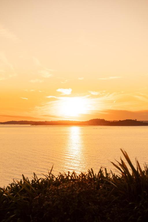 Springcombe Sunset - St Heliers Beach House - Resim 16