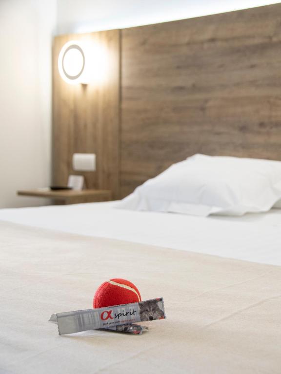 Hotel Boutique Calas de Alicante - Resim 35