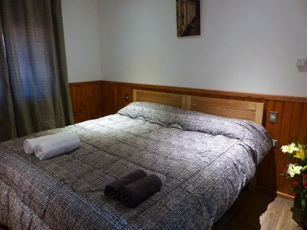 a bedroom with a bed with two pillows on it at HOTEL & HOSTAL CHIL'IN, Las Trancas in Las Trancas