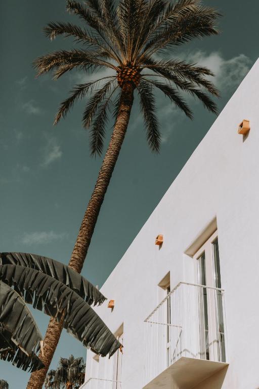 德尼亚Vacança beach的建筑物前的棕榈树