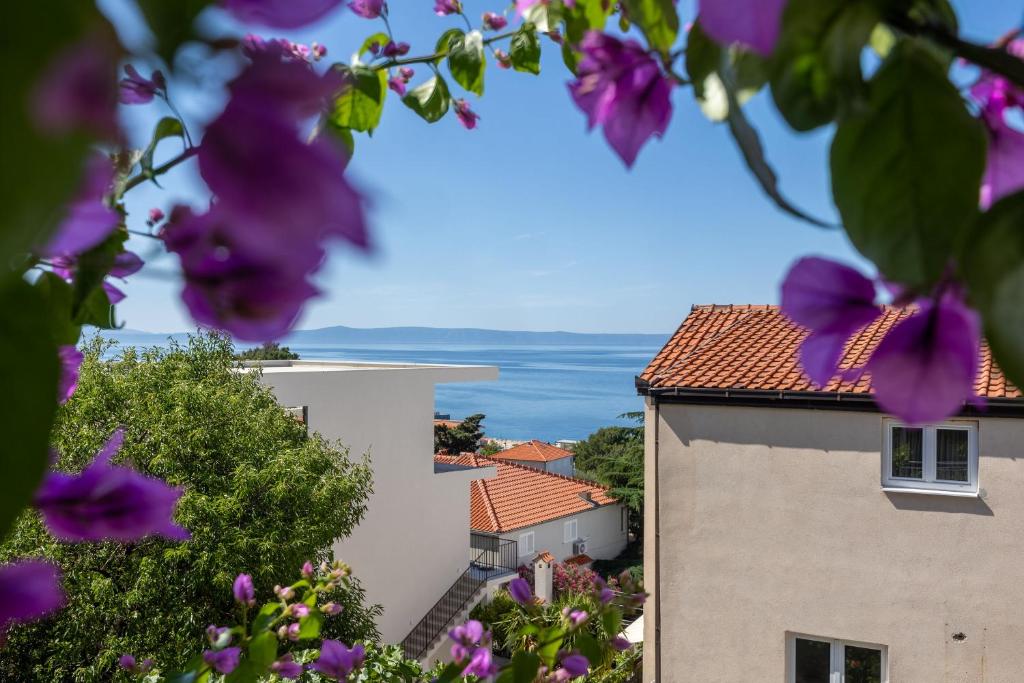 Apartments Josip II