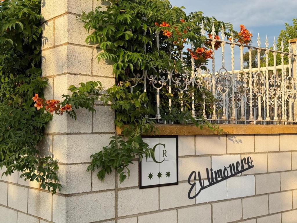 a brick wall with plants on top of it at Casa Rural El Limonero in Villanueva de la Serena