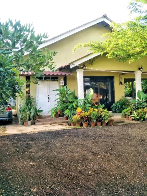 Zahrada ubytování Homestay Cik Esah