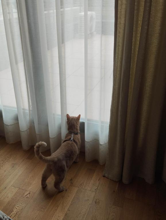 STRAVINSKY Apartments Avignon