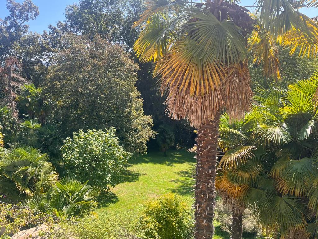 Maison Tournesol Massages Pau Jurançon - Chambre Double Avec Vue Sur Montagne