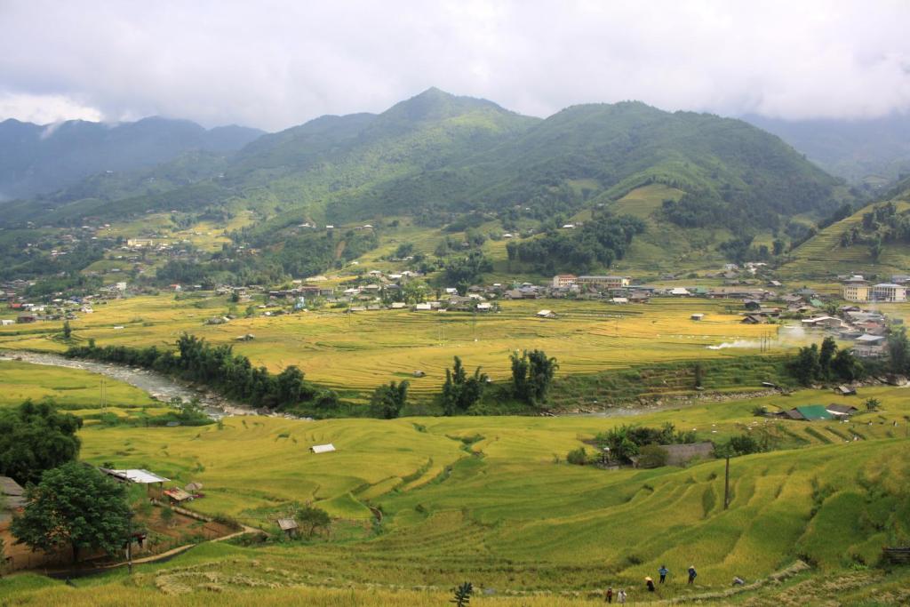 SaPa Big Tree Hmong Homestay - 4